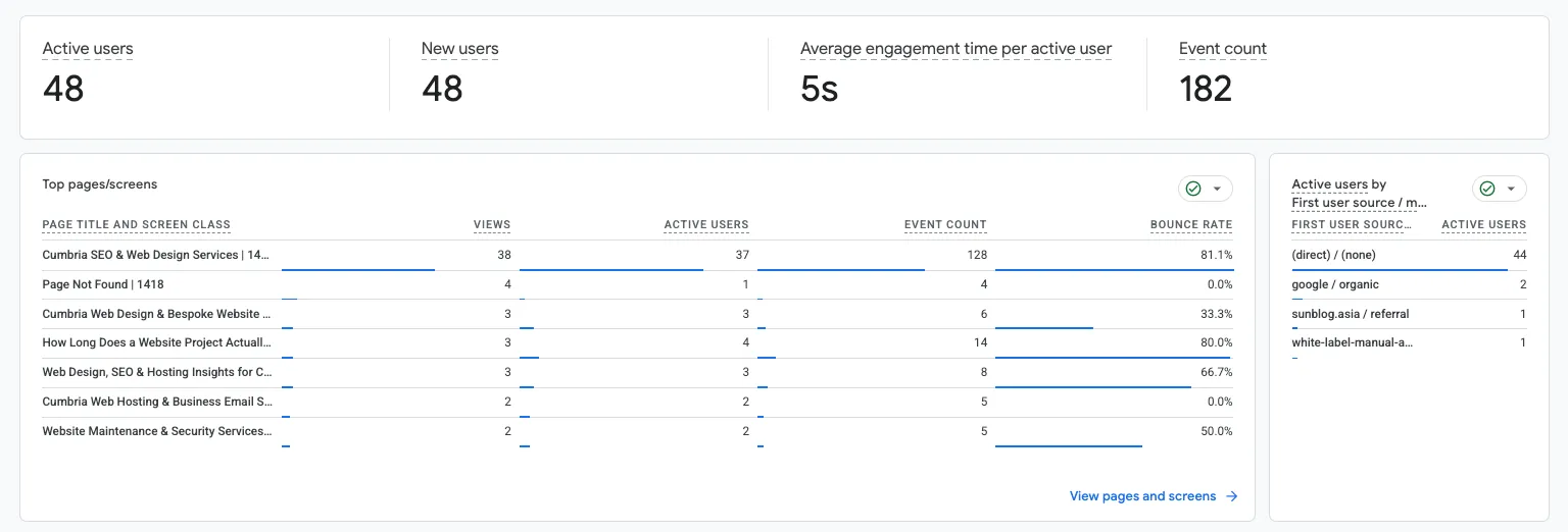 GA4 overview showing 48 active users, mostly new, alongside suspicious referral sources